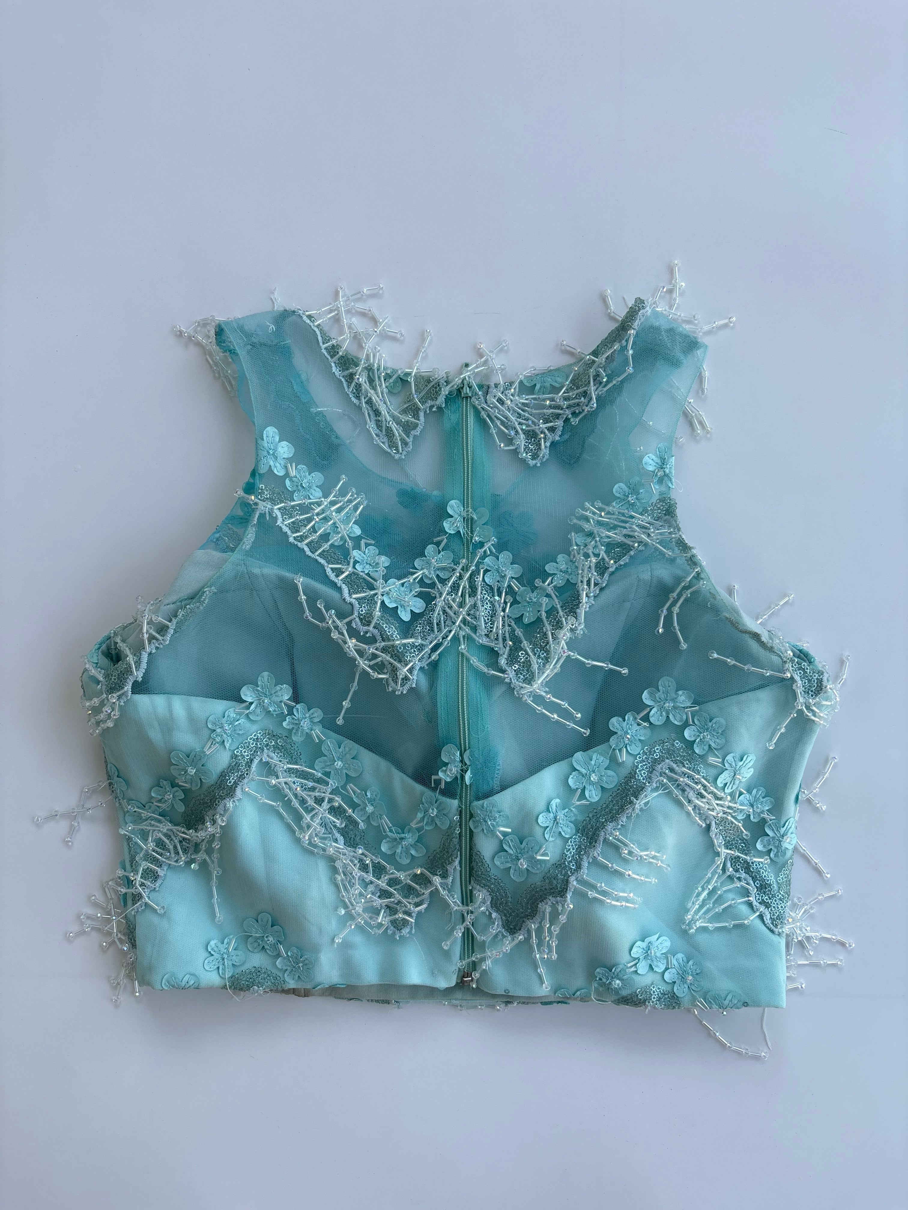 Desi whale top