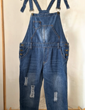 Vintage dungree